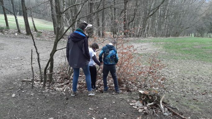 Drei Kinder erkunden einen bewaldeten Bereich mit Sträuchern und Bäumen.
