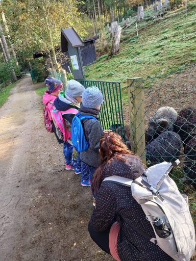 Kinder beobachten im Freien eine Gruppe von Tieren hinter einem Zaun.