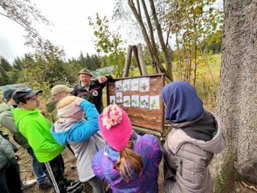 Gruppenschulung im Freien, Kinder schauen auf ein Anschlagbrett mit Bildern.