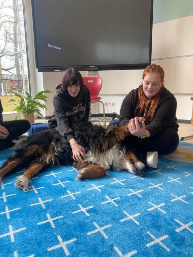 Zwei Frauen streicheln einen entspannten Bernhardiner auf einem blauen Teppich.