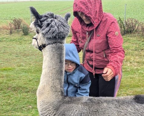 Frau mit rotem Mantel und Kind in blauer Jacke stehen neben einem Alpaka auf einer Wiese.