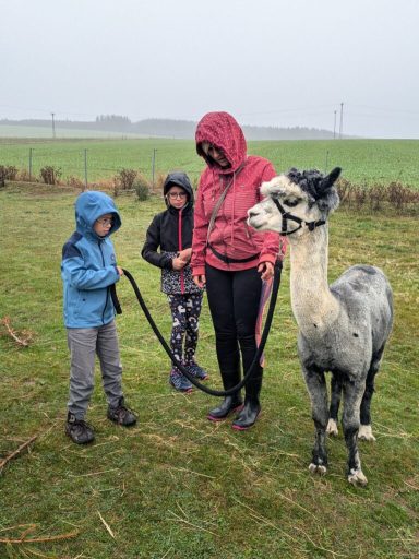Zwei Kinder und eine Erwachsene stehen in nassem Gras mit einem Llama. Alle tragen Regenbekleidung.