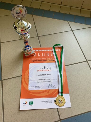 Ein Pokal, eine Medaille und ein Zertifikat liegen auf einem Fliesenboden.