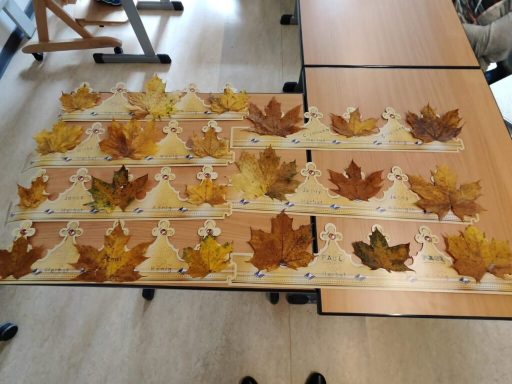 Eine Vielzahl von getrockneten, bunten Ahornblättern auf einem Tisch angeordnet.