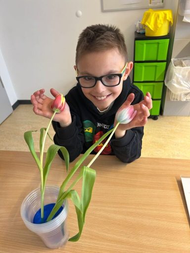 Ein Junge hält bunte Ostereier und zeigt zwei Pflanzen in einem Behälter mit Wasser.