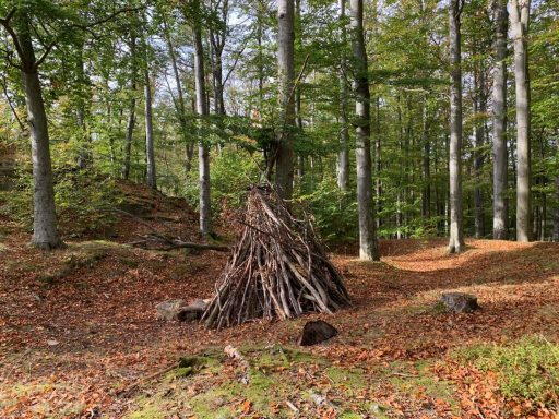 Ein Haufen Äste in einem Wald, umgeben von Bäumen und herbstlichem Laub.