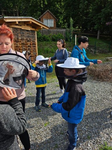 Kinder und Erwachsene beobachten etwas in der Natur, umgeben von Holz und Grün.
