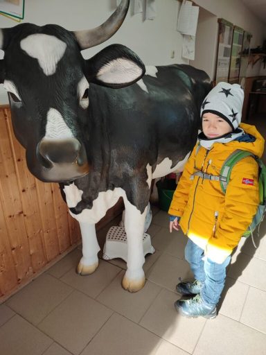 Ein Junge in gelber Jacke steht neben einer Kuh aus Holz.