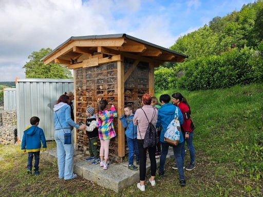 Gruppe von Kindern und Erwachsenen an einem Insektenhotel in der Natur.