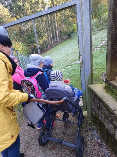 Eine Gruppe von Kindern in einem Kinderwagen schaut durch einen Zaun in die Natur.