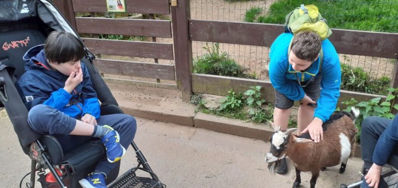 Ein Junge streichelt eine Ziege, während ein anderer Junge im Rollstuhl zuschaut.