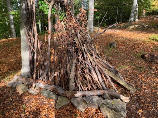 Ein kleiner Haufen aus Ästen und Steinen, umgeben von Laub im Wald.
