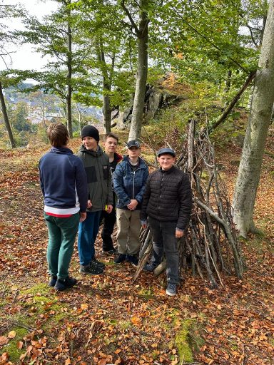 Fünf Personen stehen vor einem Holzstapel in einem Waldgebiet. Herbstliche Blätter liegen am Boden.