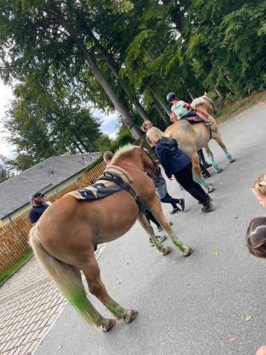 Zwei Pferde mit Reitern, umgeben von mehreren Personen auf einem Weg.