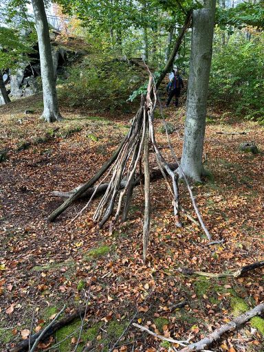 Eine kleine Hütte aus Ästen in einem Wald mit herbstlichen Blättern.