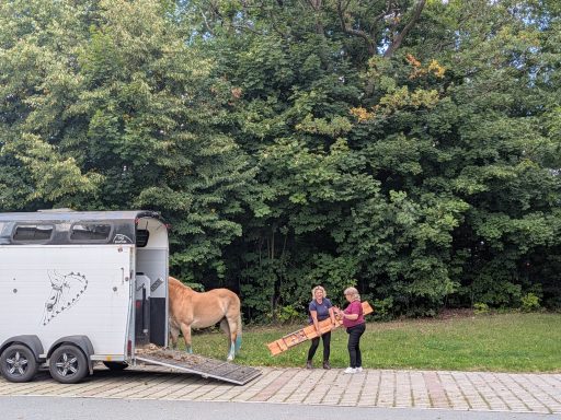 Zwei Personen laden ein Pferd aus einem Anhänger in einer grünen Umgebung aus.