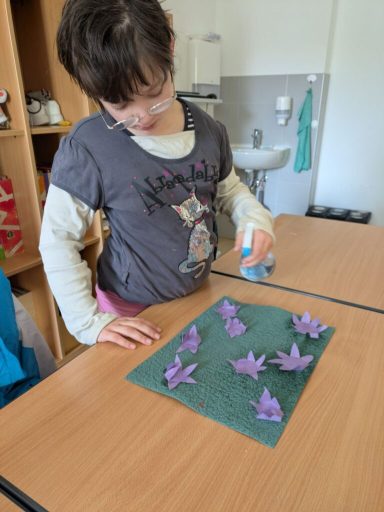 Ein Mädchen mit einer Brille, das violette Origami-Blumen auf einem Tisch arrangiert.