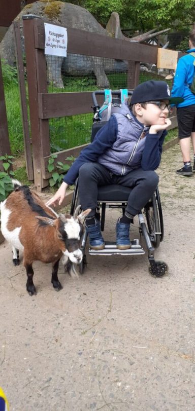 Eine Person im Rollstuhl sitzt neben einer Ziege auf einem Weg in einer ländlichen Umgebung.
