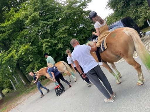 Mehrere Personen interagieren mit Pferden in einer natürlichen Umgebung.