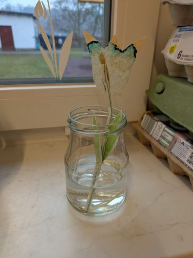 Eine Blume in einem Glas Wasser steht auf einem Tisch, im Hintergrund ist ein Fenster.