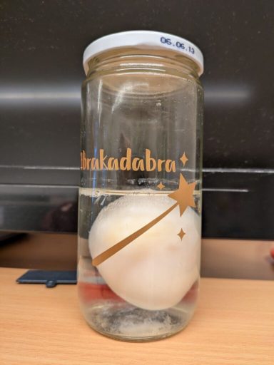 Ein Glasbehälter mit einer weißen Kugel und einer goldenen Sterngrafik.