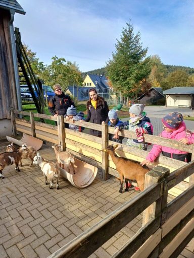 Kinder füttern Ziegen in einem kleinen Gehege an einem sonnigen Tag.