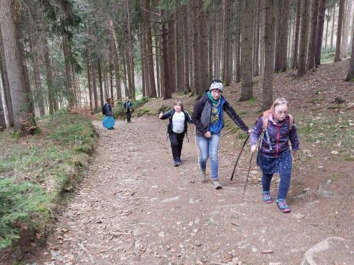 Menschen wandern einen Waldweg entlang, umgeben von hohen Bäumen und Natur.
