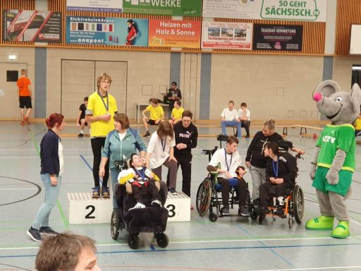Sieger und Teilnehmer bei einer Sportveranstaltung, Menschen im Rollstuhl und Maskottchen.