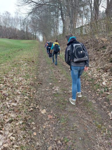Gruppenwanderung auf einem schmalen Weg durch ein bewaldetes Gebiet im Spätherbst.