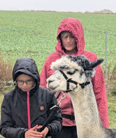 Zwei Personen mit Kapuzenjacken stehen neben einem Alpaka vor einem grünen Feld.